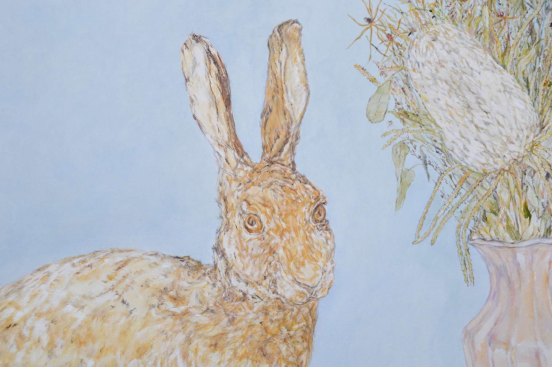 The hare and the native